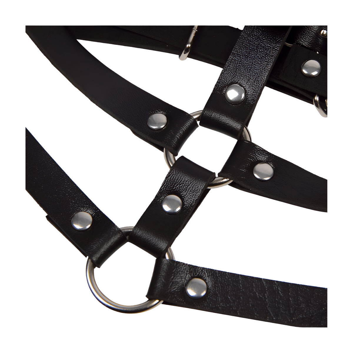 Nahkainen BDSM-rintakettinki SUBBLIME alusvaatteet, yksi koko, näyttävä ja tyylikäs seksuaaliväline.